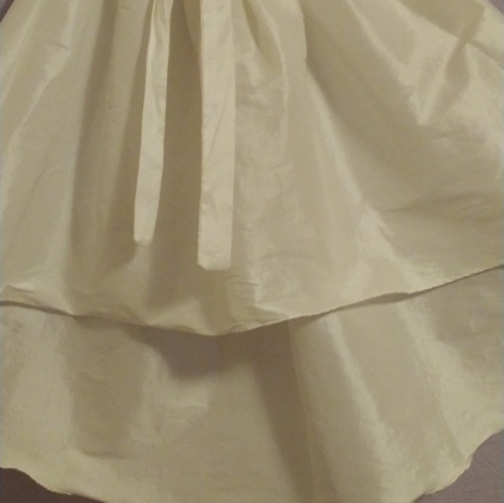 Organza skirt